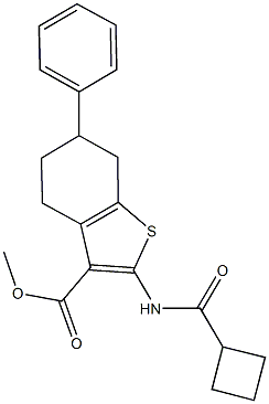 methyl 2-[(cyclobutylcarbonyl)amino]-6-phenyl-4,5,6,7-tetrahydro-1-benzothiophene-3-carboxylate Struktur