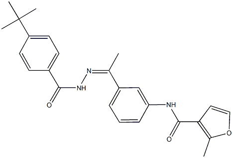 N-{3-[N-(4-tert-butylbenzoyl)ethanehydrazonoyl]phenyl}-2-methyl-3-furamide Struktur