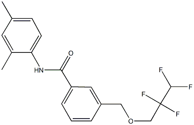 N-(2,4-dimethylphenyl)-3-[(2,2,3,3-tetrafluoropropoxy)methyl]benzamide Struktur