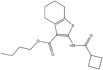 butyl 2-[(cyclobutylcarbonyl)amino]-4,5,6,7-tetrahydro-1-benzothiophene-3-carboxylate Struktur