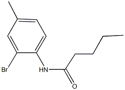 N-(2-bromo-4-methylphenyl)pentanamide Struktur