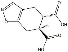 6-methyl-4,5,6,7-tetrahydro-1,2-benzisoxazole-5,6-dicarboxylic acid Struktur