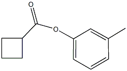 3-methylphenyl cyclobutanecarboxylate Struktur