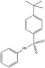 4-tert-butyl-N-phenylbenzenesulfonamide Struktur