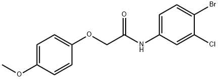 N-(4-bromo-3-chlorophenyl)-2-(4-methoxyphenoxy)acetamide Struktur