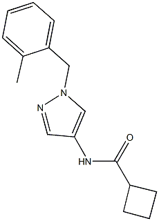 N-[1-(2-methylbenzyl)-1H-pyrazol-4-yl]cyclobutanecarboxamide Struktur