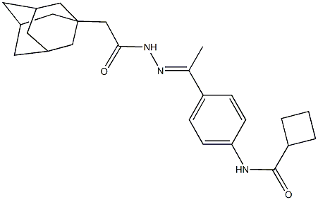 N-{4-[N-(1-adamantylacetyl)ethanehydrazonoyl]phenyl}cyclobutanecarboxamide Struktur