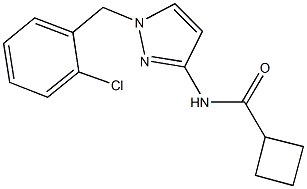 N-[1-(2-chlorobenzyl)-1H-pyrazol-3-yl]cyclobutanecarboxamide Struktur