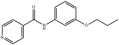 N-(3-propoxyphenyl)isonicotinamide Struktur