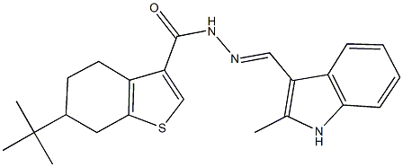 6-tert-butyl-N'-[(2-methyl-1H-indol-3-yl)methylene]-4,5,6,7-tetrahydro-1-benzothiophene-3-carbohydrazide Struktur