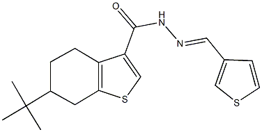 6-tert-butyl-N'-(3-thienylmethylene)-4,5,6,7-tetrahydro-1-benzothiophene-3-carbohydrazide Struktur