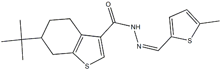 6-tert-butyl-N'-[(5-methyl-2-thienyl)methylene]-4,5,6,7-tetrahydro-1-benzothiophene-3-carbohydrazide Struktur