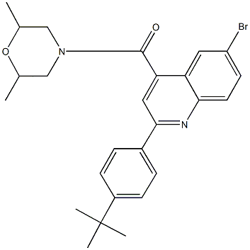 6-bromo-2-(4-tert-butylphenyl)-4-[(2,6-dimethylmorpholin-4-yl)carbonyl]quinoline Struktur