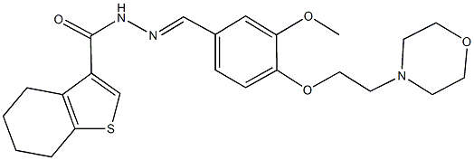 N'-{3-methoxy-4-[2-(4-morpholinyl)ethoxy]benzylidene}-4,5,6,7-tetrahydro-1-benzothiophene-3-carbohydrazide Struktur