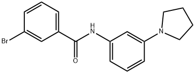 3-bromo-N-[3-(1-pyrrolidinyl)phenyl]benzamide Struktur