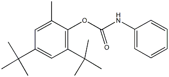 2,4-ditert-butyl-6-methylphenyl phenylcarbamate Struktur