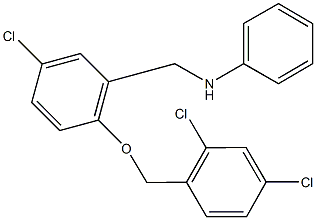 N-{5-chloro-2-[(2,4-dichlorobenzyl)oxy]benzyl}-N-phenylamine Struktur