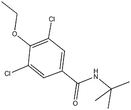 N-(tert-butyl)-3,5-dichloro-4-ethoxybenzamide Struktur