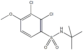 N-(tert-butyl)-2,3-dichloro-4-methoxybenzenesulfonamide Struktur