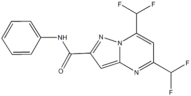 5,7-bis(difluoromethyl)-N-phenylpyrazolo[1,5-a]pyrimidine-2-carboxamide Struktur