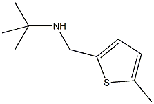 N-(tert-butyl)-N-[(5-methyl-2-thienyl)methyl]amine Struktur