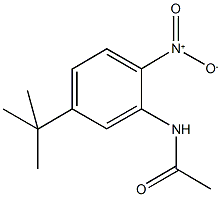 N-{5-tert-butyl-2-nitrophenyl}acetamide Struktur