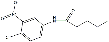 N-{4-chloro-3-nitrophenyl}-2-methylpentanamide Struktur