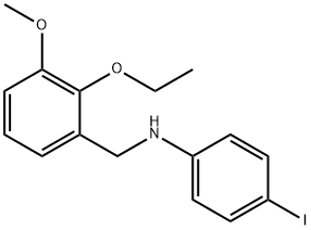 N-(2-ethoxy-3-methoxybenzyl)-N-(4-iodophenyl)amine Struktur