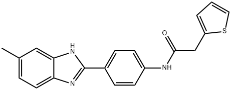 N-[4-(5-methyl-1H-benzimidazol-2-yl)phenyl]-2-(2-thienyl)acetamide Struktur