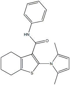 2-(2,5-dimethyl-1H-pyrrol-1-yl)-N-phenyl-4,5,6,7-tetrahydro-1-benzothiophene-3-carboxamide Struktur