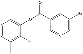 2,3-dimethylphenyl5-bromonicotinate Struktur