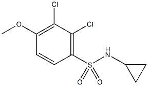 2,3-dichloro-N-cyclopropyl-4-methoxybenzenesulfonamide Struktur