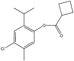 4-chloro-2-isopropyl-5-methylphenyl cyclobutanecarboxylate Struktur