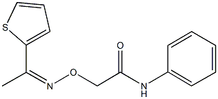 N-phenyl-2-({[1-(2-thienyl)ethylidene]amino}oxy)acetamide Struktur