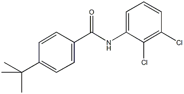 4-tert-butyl-N-(2,3-dichlorophenyl)benzamide Struktur