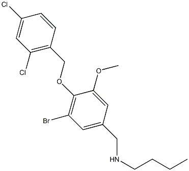 N-{3-bromo-4-[(2,4-dichlorobenzyl)oxy]-5-methoxybenzyl}-N-butylamine Struktur