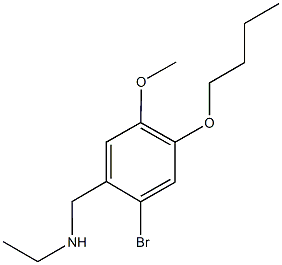 N-(2-bromo-4-butoxy-5-methoxybenzyl)-N-ethylamine Struktur