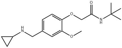 N-(tert-butyl)-2-{4-[(cyclopropylamino)methyl]-2-methoxyphenoxy}acetamide Struktur