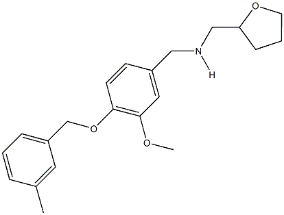 N-{3-methoxy-4-[(3-methylbenzyl)oxy]benzyl}-N-(tetrahydro-2-furanylmethyl)amine Struktur