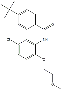 4-tert-butyl-N-[5-chloro-2-(2-methoxyethoxy)phenyl]benzamide Struktur