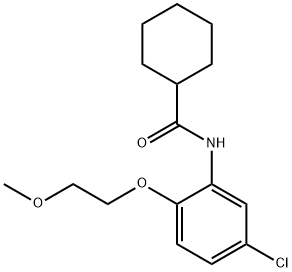 N-[5-chloro-2-(2-methoxyethoxy)phenyl]cyclohexanecarboxamide Struktur