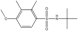 N-(tert-butyl)-4-methoxy-2,3-dimethylbenzenesulfonamide Struktur