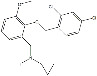 N-cyclopropyl-N-{2-[(2,4-dichlorobenzyl)oxy]-3-methoxybenzyl}amine Struktur