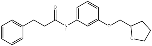 3-phenyl-N-[3-(tetrahydro-2-furanylmethoxy)phenyl]propanamide Struktur