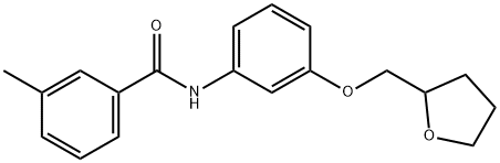 3-methyl-N-[3-(tetrahydro-2-furanylmethoxy)phenyl]benzamide Struktur