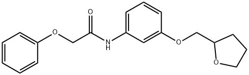 2-phenoxy-N-[3-(tetrahydro-2-furanylmethoxy)phenyl]acetamide Struktur