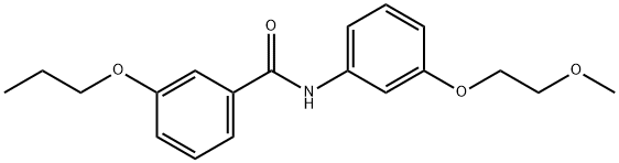 N-[3-(2-methoxyethoxy)phenyl]-3-propoxybenzamide Struktur