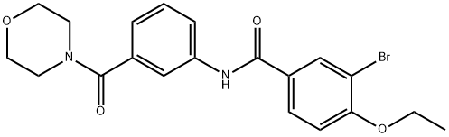 3-bromo-4-ethoxy-N-[3-(4-morpholinylcarbonyl)phenyl]benzamide Struktur