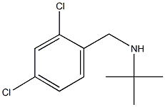 N-(tert-butyl)-N-(2,4-dichlorobenzyl)amine Struktur