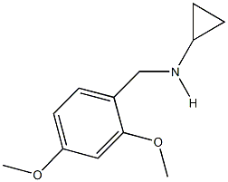 N-cyclopropyl-N-(2,4-dimethoxybenzyl)amine Struktur